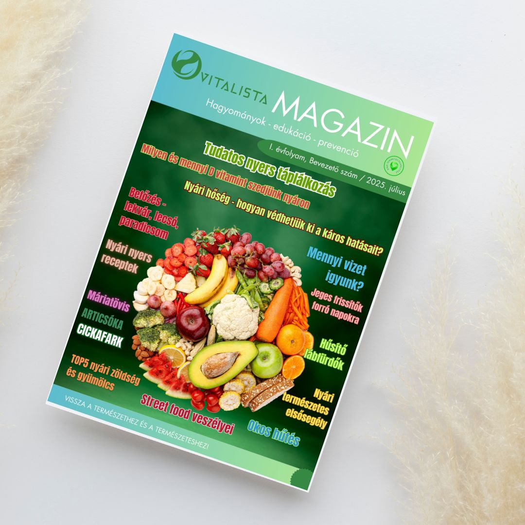 MAGAZIN bevezető szám